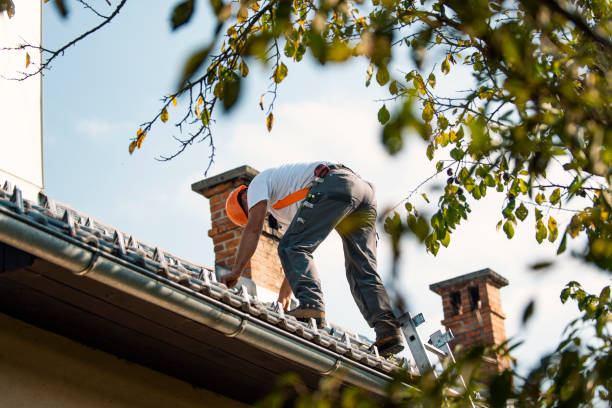 Best Metal Roofing Contractor  in Ramsey, NJ